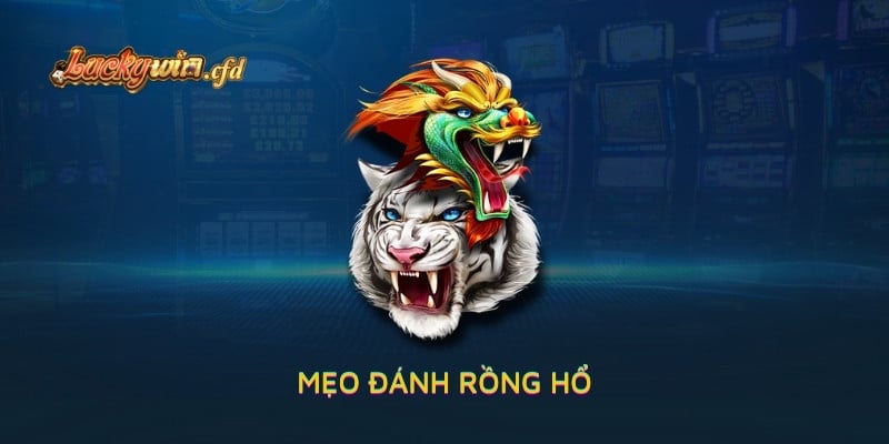 Mẹo Đánh Rồng Hổ Của Các Cao Thủ LUCKYWIN Không Thể Bỏ Lỡ